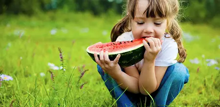 Ernährungstipps bei Sommerhitze