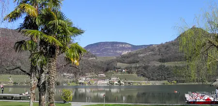Rund um den Kalterer See