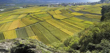 Natur­erlebnis­weg Tramin