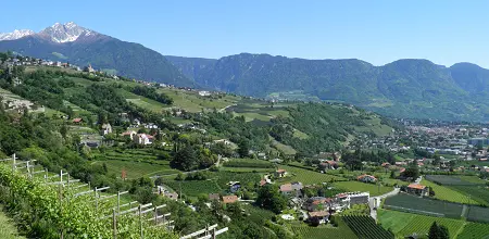 Der Algunder Waalweg