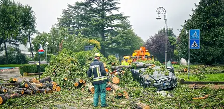 Martin Markt, FF Freiberg