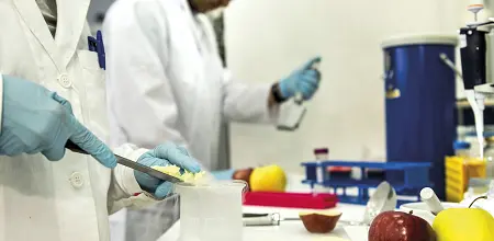 Neue Gentechnik