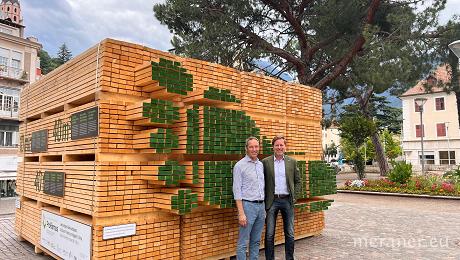 Mit Holzbau das Klima verbessern