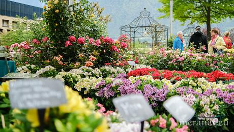 Merano Flower Festival
