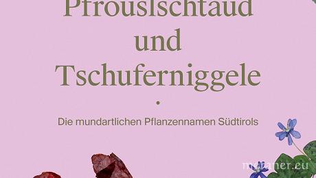 Festival Sprachspiele/Linguaggi in gioco 2025