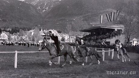 130 Jahre Haflinger Galopprennen am Pferderennplatz von Meran