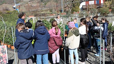 Schule in der Gärtnerei – Pflanzenwissen hautnah