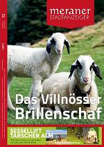 Meraner Stadtanzeiger 12/2019