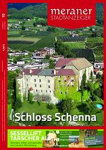 Meraner Stadtanzeiger 15/2020