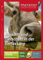 Meraner Stadtanzeiger 16/2021