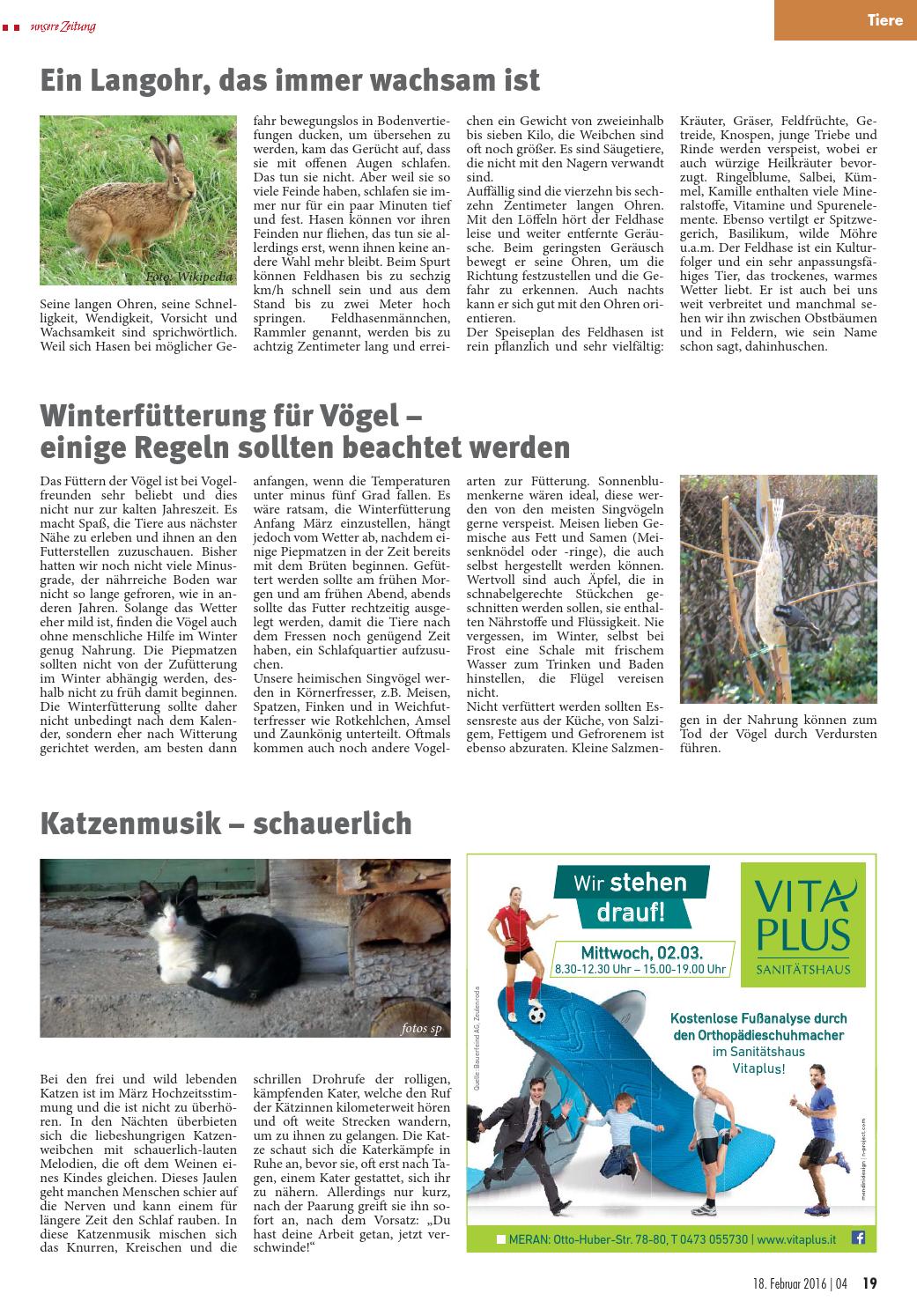 Seite 19