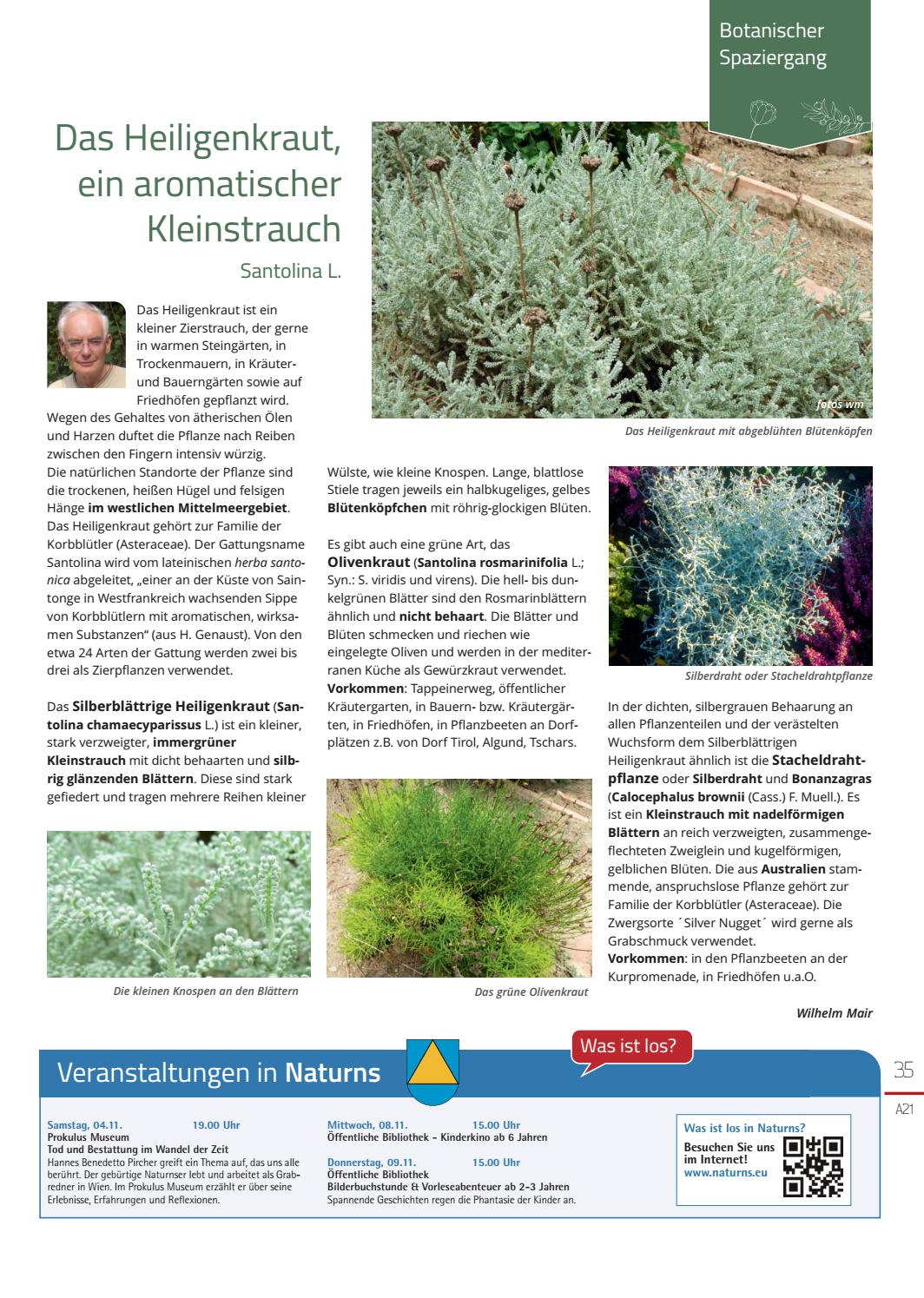 Seite 35