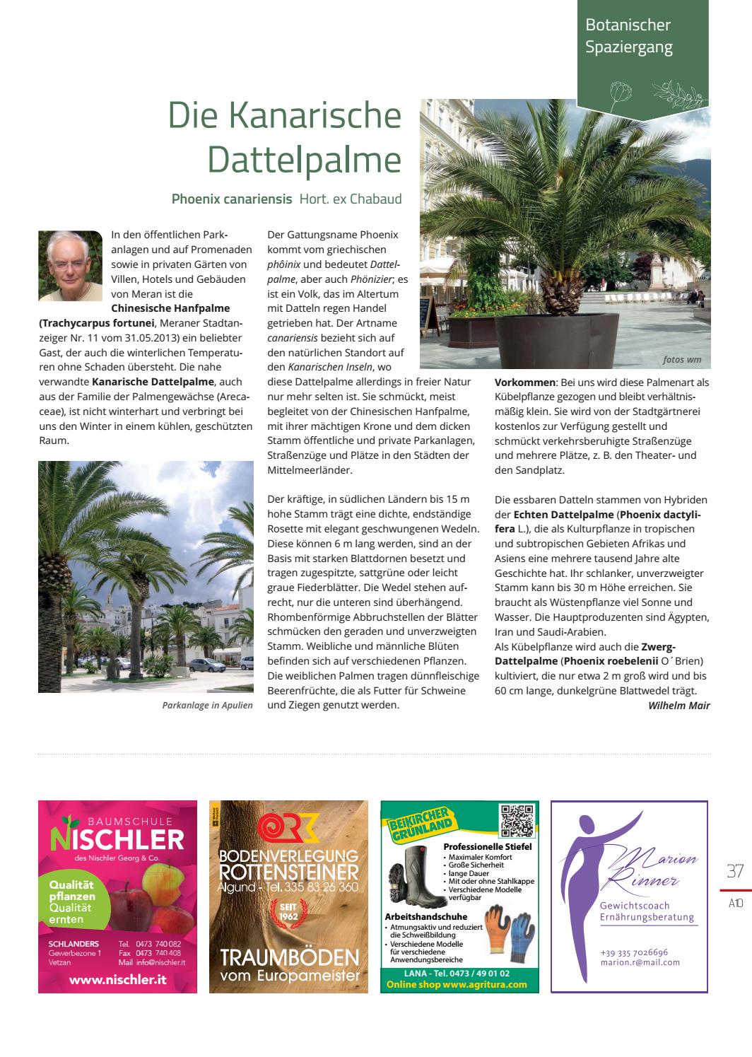Seite 37