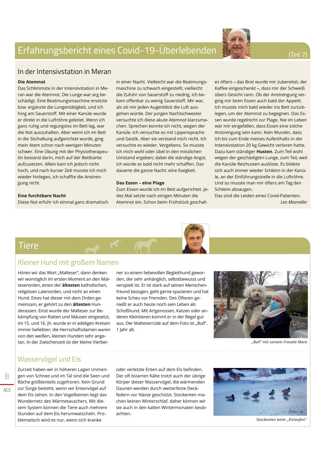 Seite 8