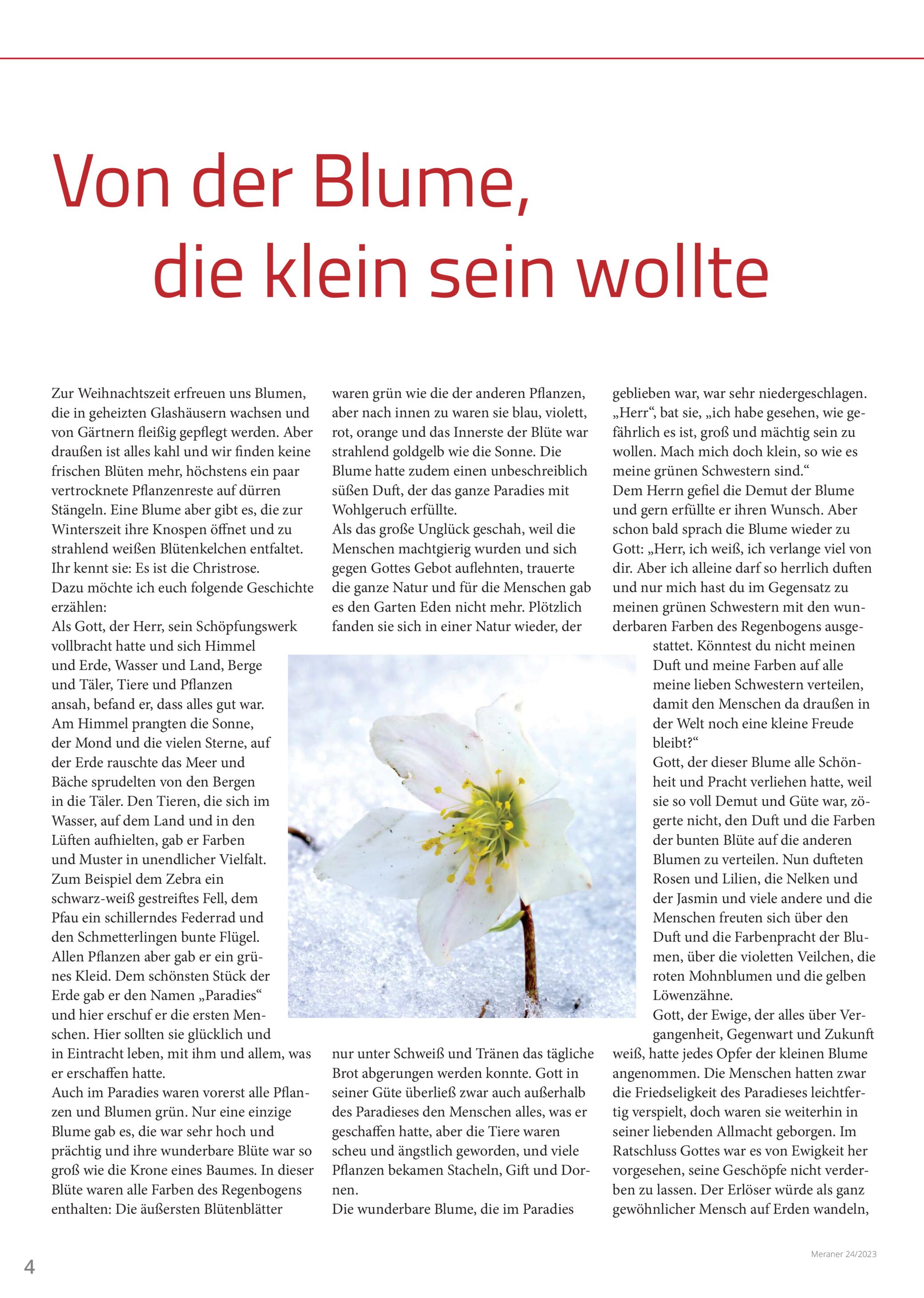 Seite 04